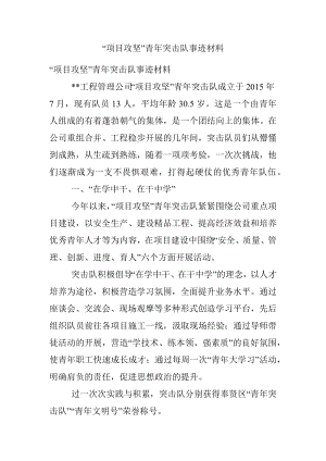 “项目攻坚”青年突击队事迹材料.docx