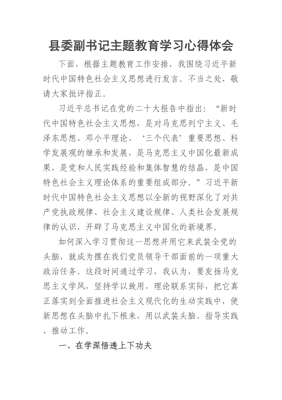 2023年县委副书记主题教育学习心得体会 .docx_第1页