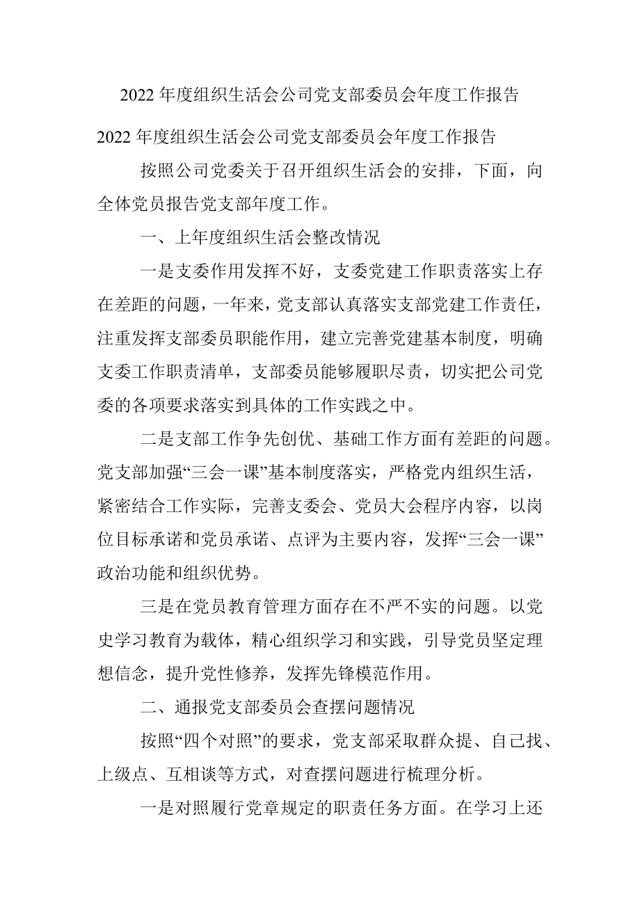 2022年度组织生活会公司党支部委员会年度工作报告.docx_第1页