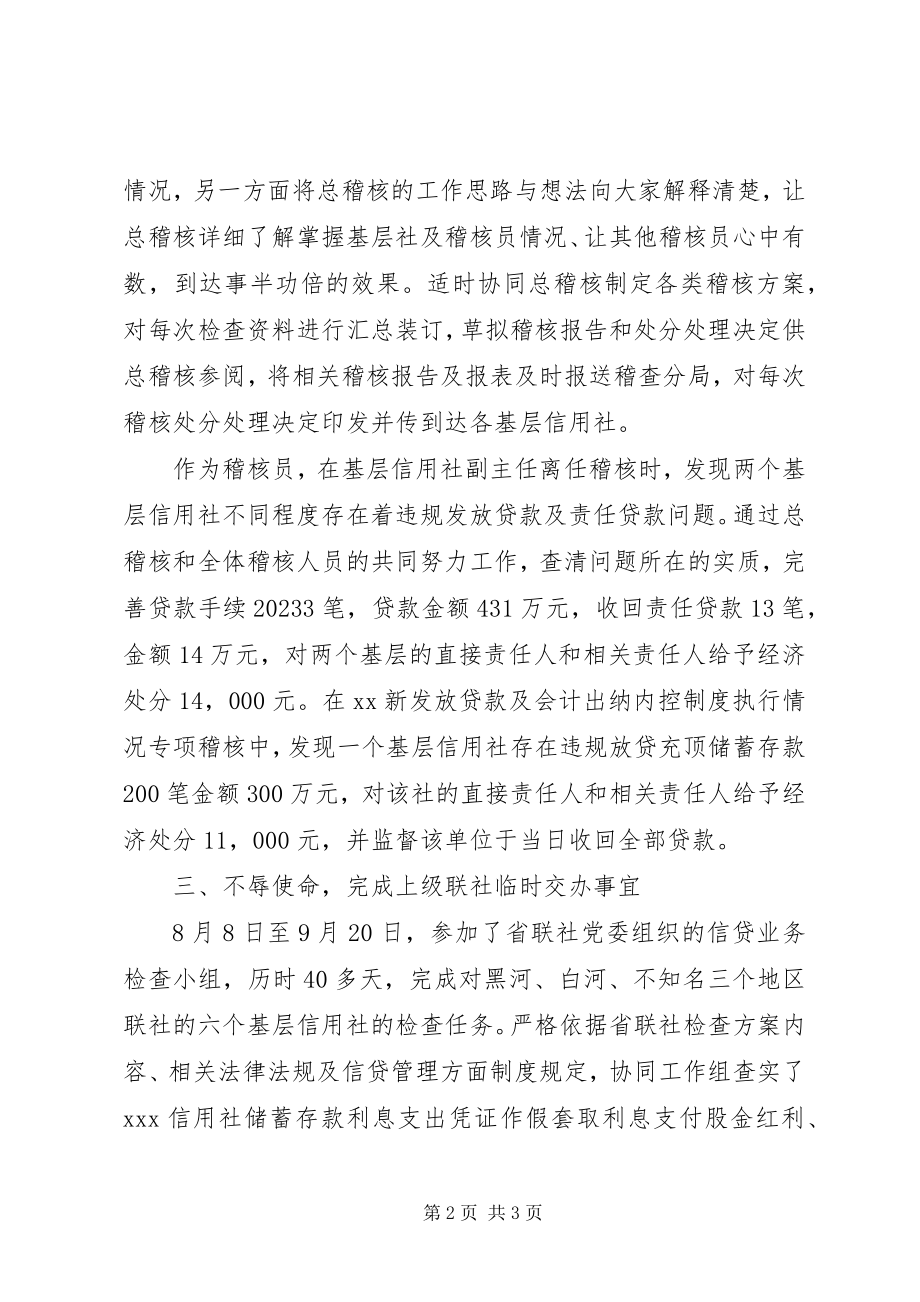 2023年稽核员个人工作总结.docx_第2页