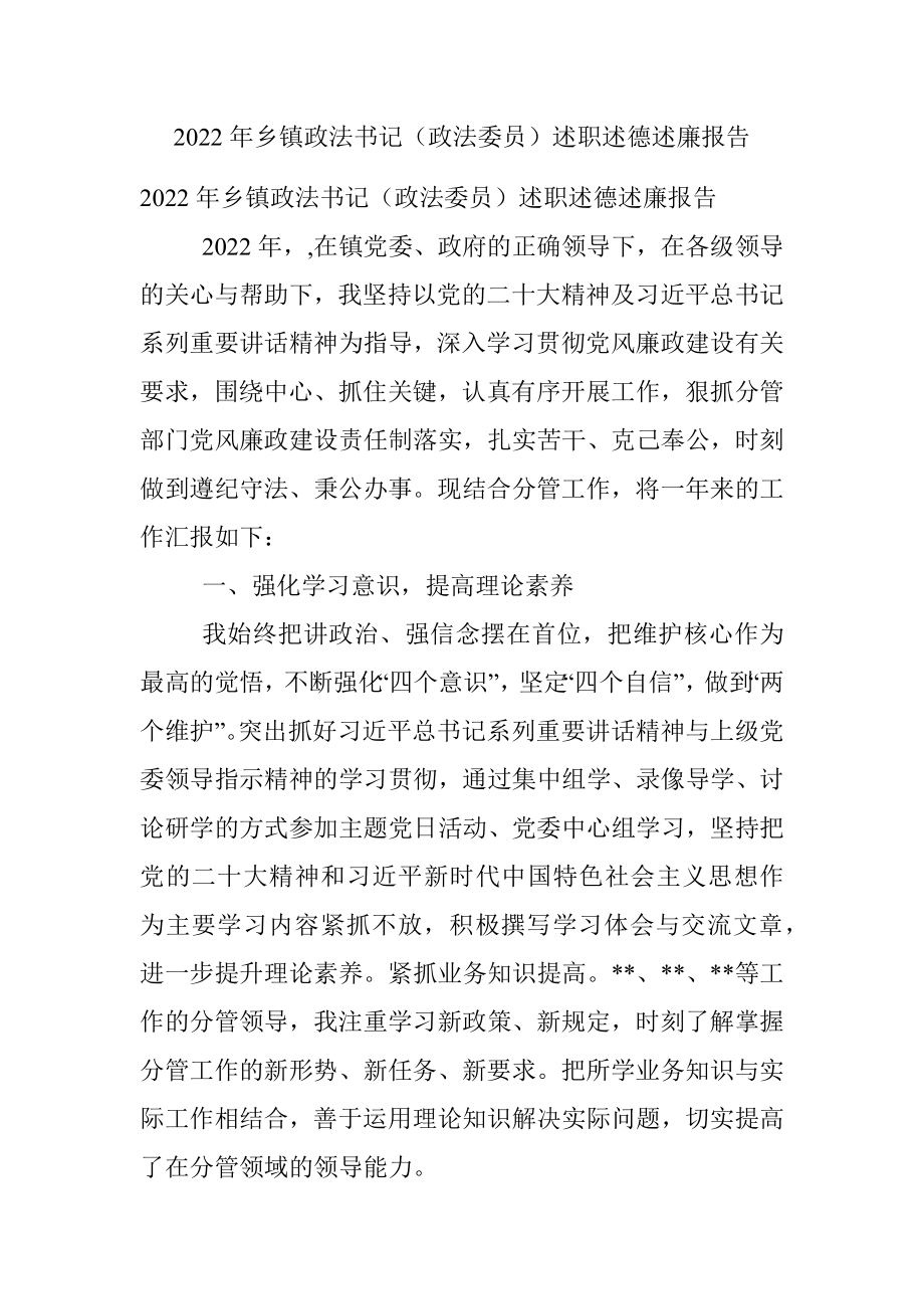 2022年乡镇政法书记（政法委员）述职述德述廉报告_2.docx_第1页