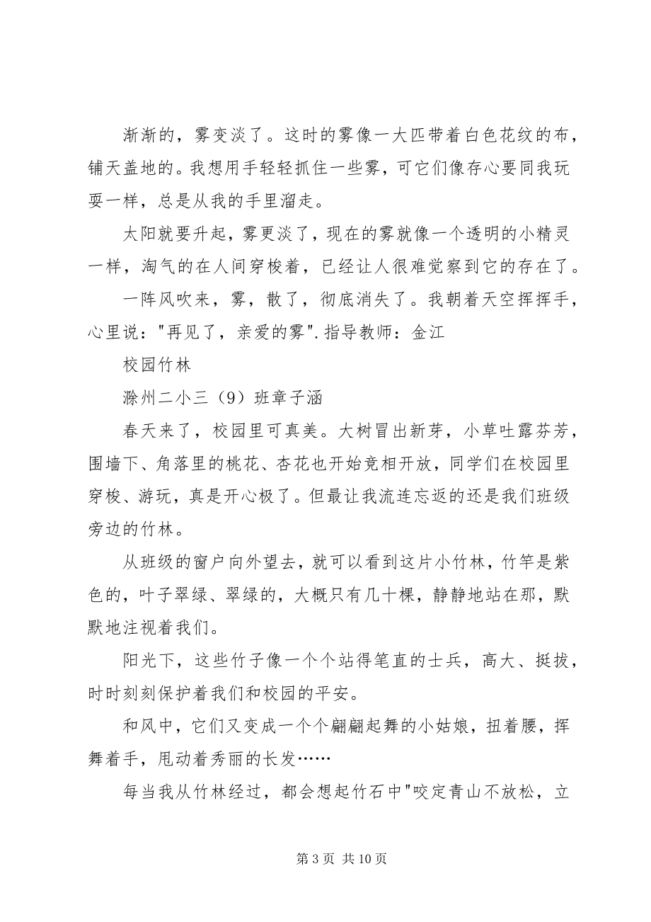 2023年小记者习作.docx_第3页