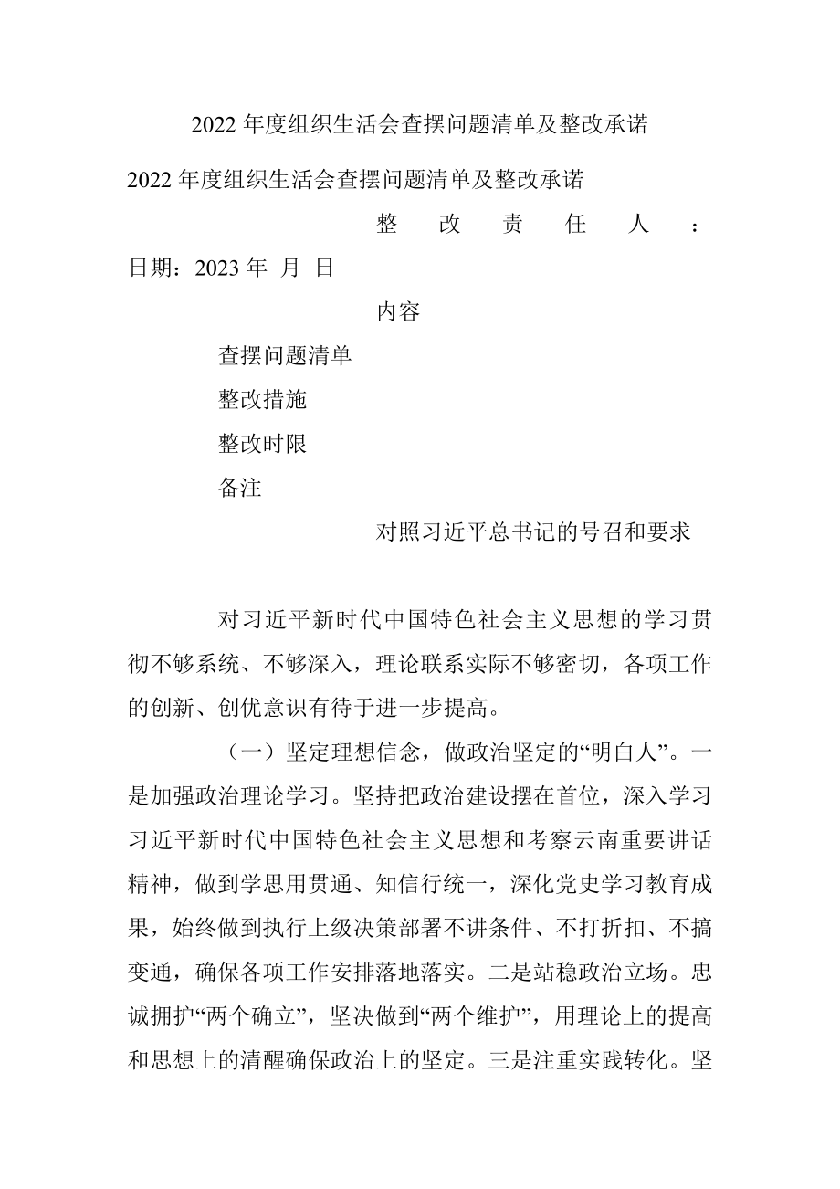 2022年度组织生活会查摆问题清单及整改承诺.docx_第1页