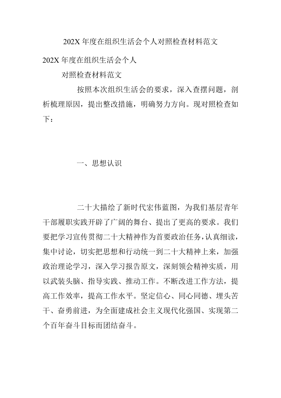 202X年度在组织生活会个人对照检查材料范文.docx_第1页