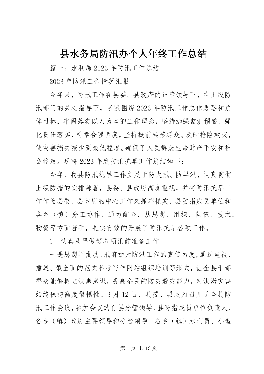 2023年县水务局防汛办个人年终工作总结.docx_第1页