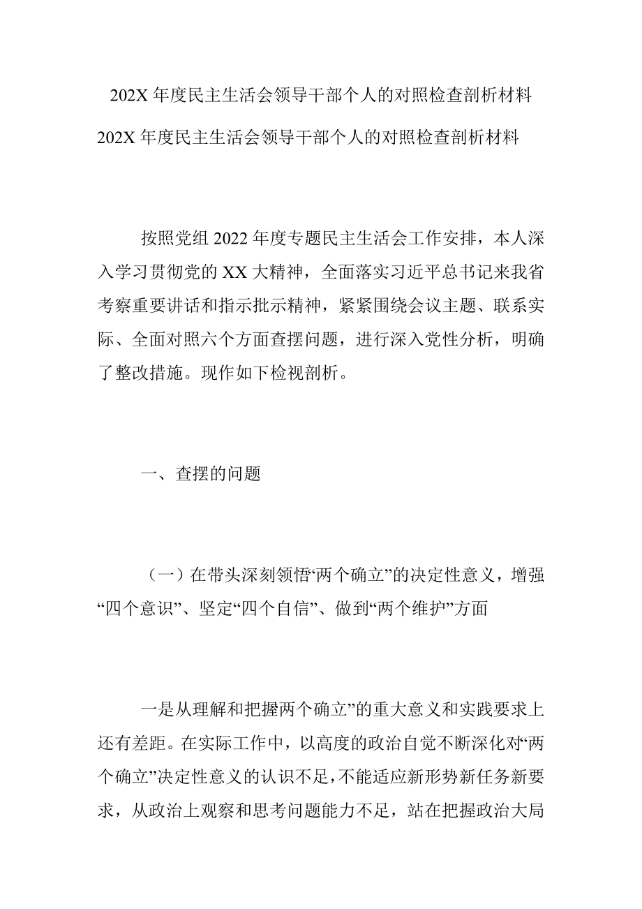 202X年度民主生活会领导干部个人的对照检查剖析材料.docx_第1页