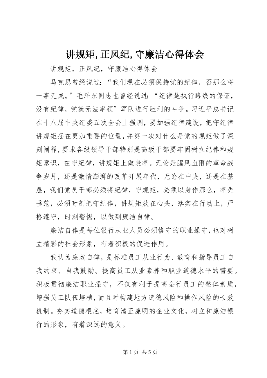 2023年讲规矩正风纪守廉洁心得体会.docx_第1页