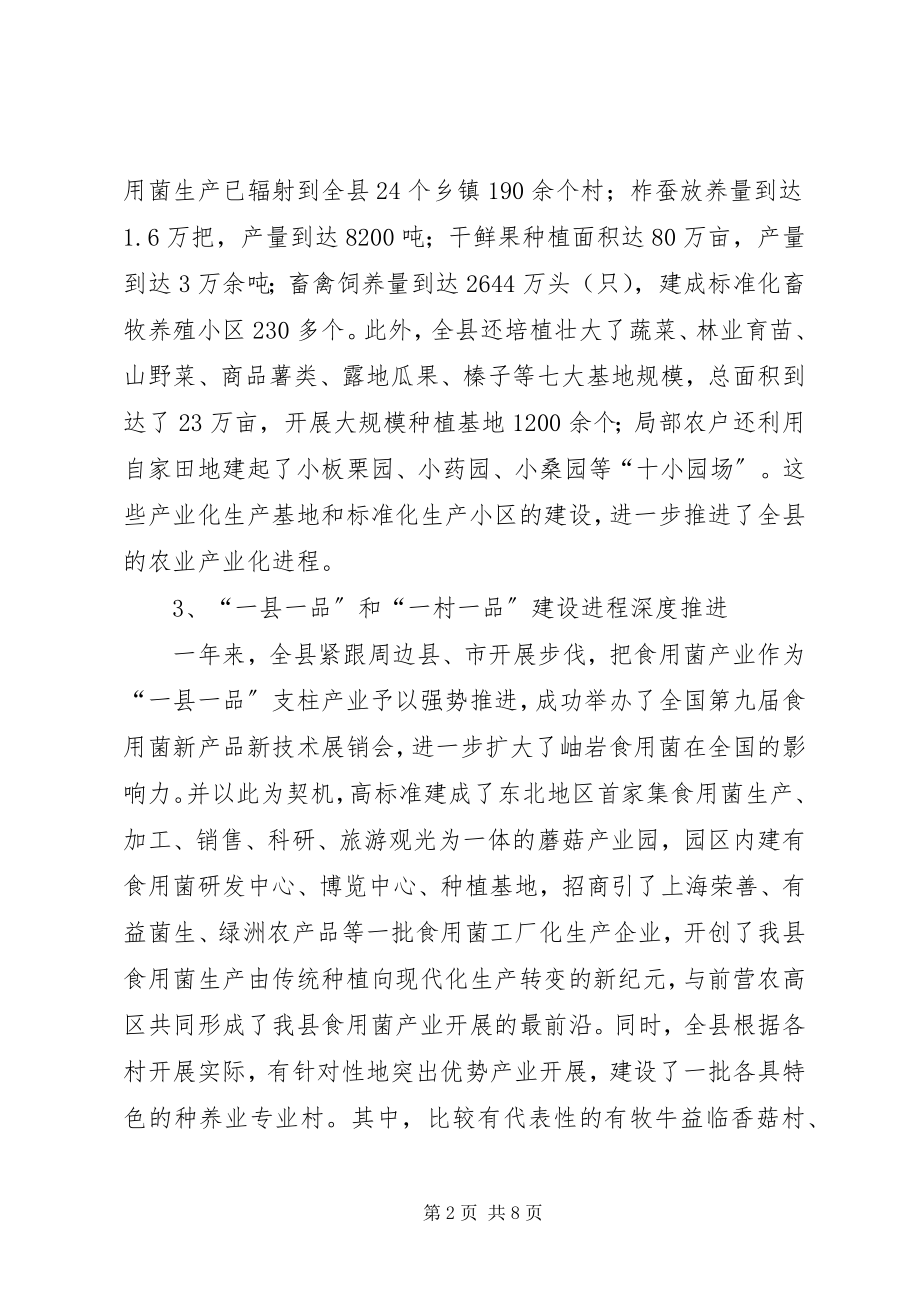 2023年农业产业化年度工作总结.docx_第2页