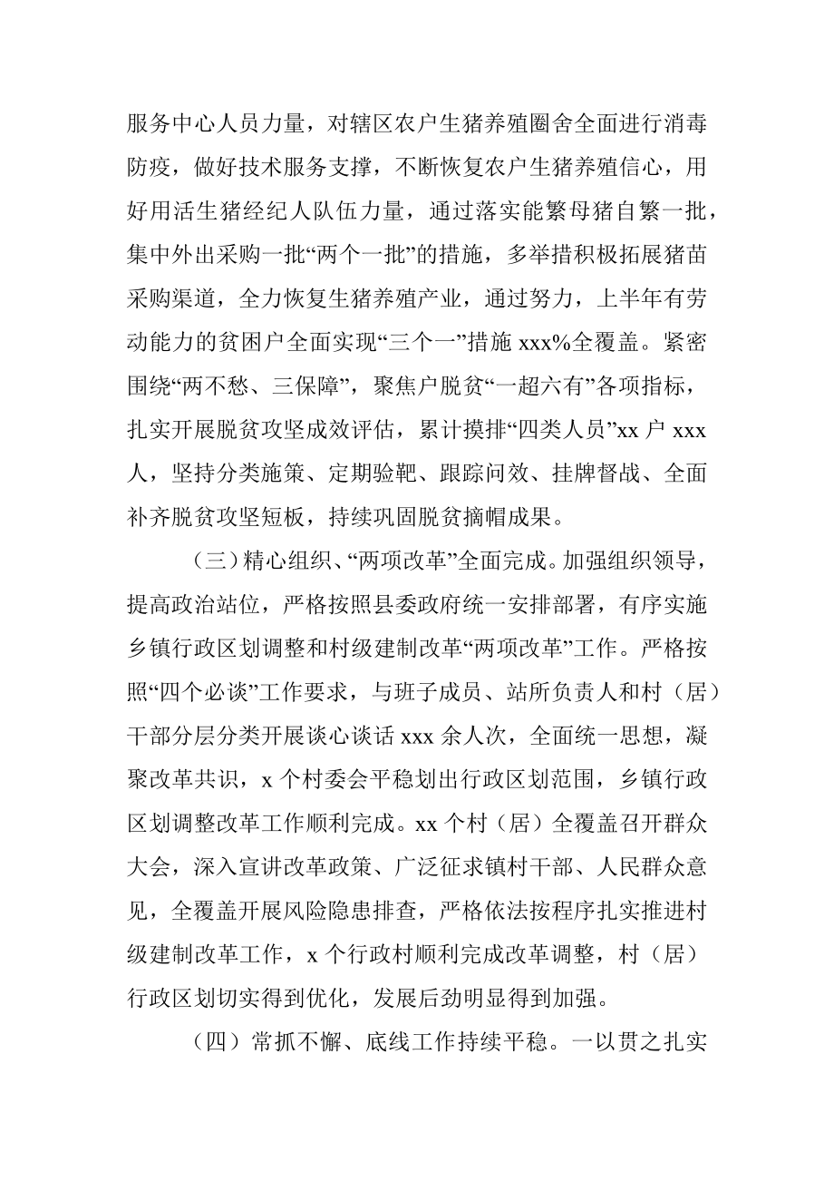 2020年上半年工作总结及下半年工作计划（乡镇）.docx_第3页