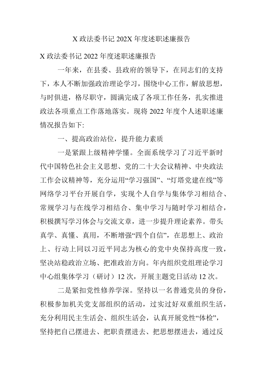 X政法委书记202X年度述职述廉报告.docx_第1页