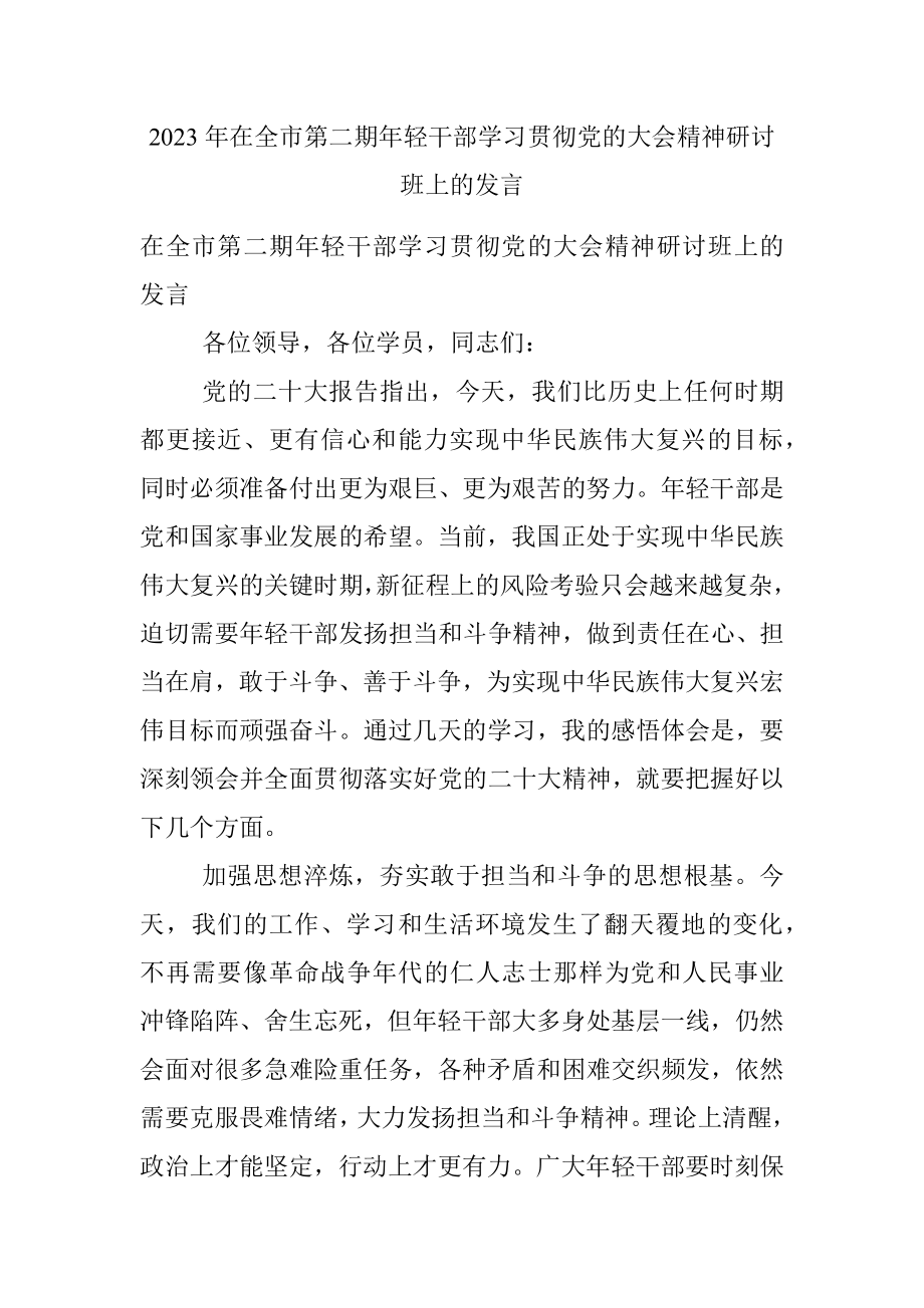 2023年在全市第二期年轻干部学习贯彻党的大会精神研讨班上的发言.docx_第1页