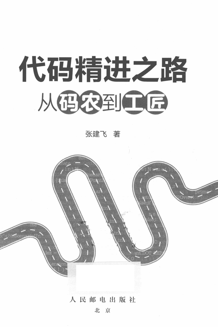 代码精进之路_张建飞著.pdf_第2页