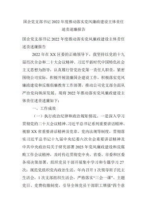 国企党支部书记2022年度推动落实党风廉政建设主体责任述责述廉报告.docx