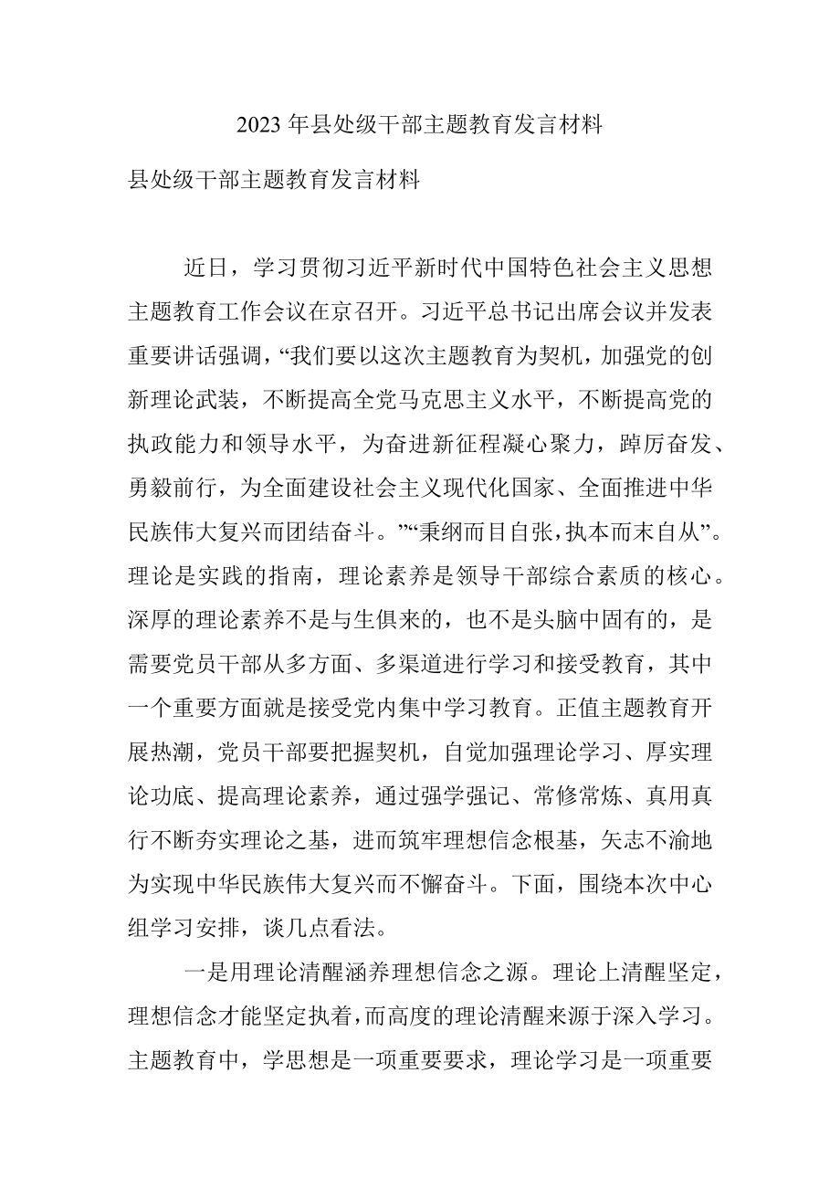 2023年县处级干部主题教育发言材料.docx_第1页