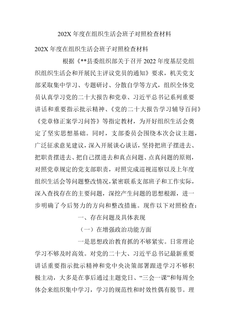 202X年度在组织生活会班子对照检查材料_1.docx_第1页