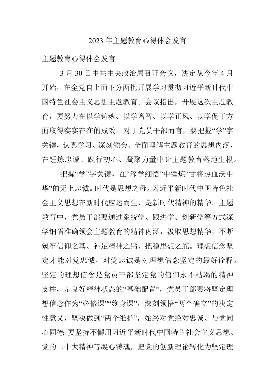 2023年主题教育心得体会发言.docx_第1页