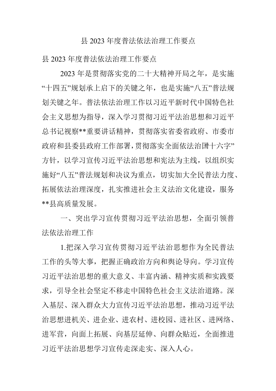 县2023年度普法依法治理工作要点.docx_第1页