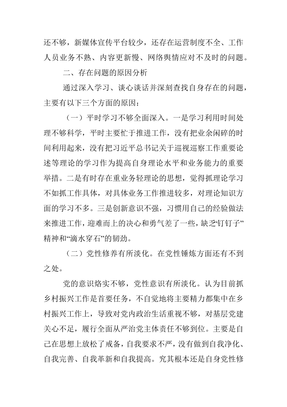 XX副书记落实市委巡察组反馈意见整改专题民主生活会发言提纲.docx_第3页