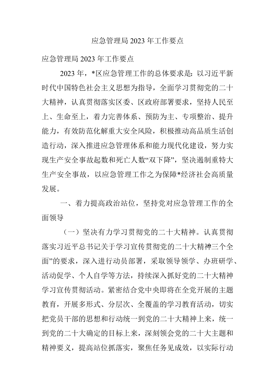 应急管理局2023年工作要点.docx_第1页