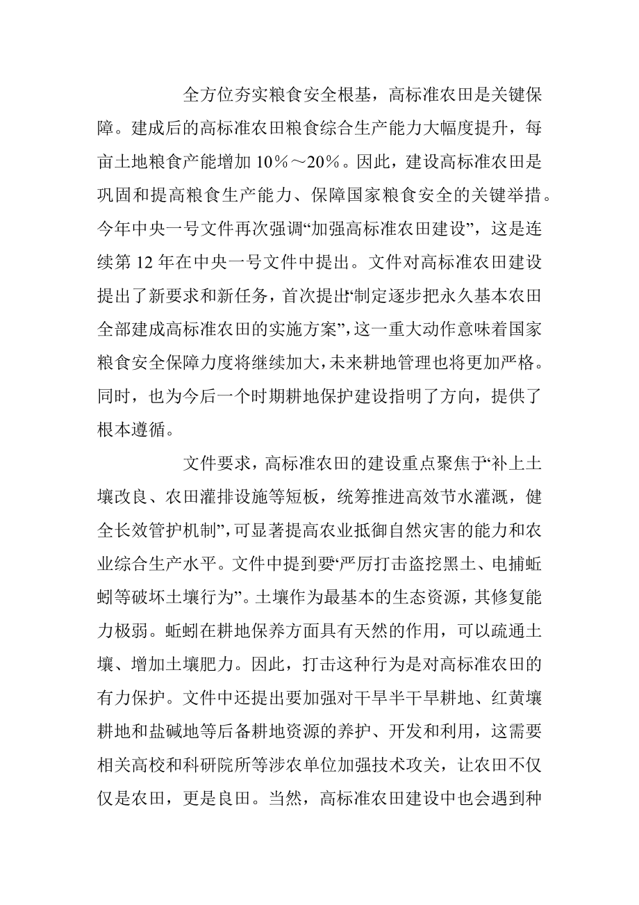 2023年XX个人在学习中央一号文件学习心得.docx_第3页