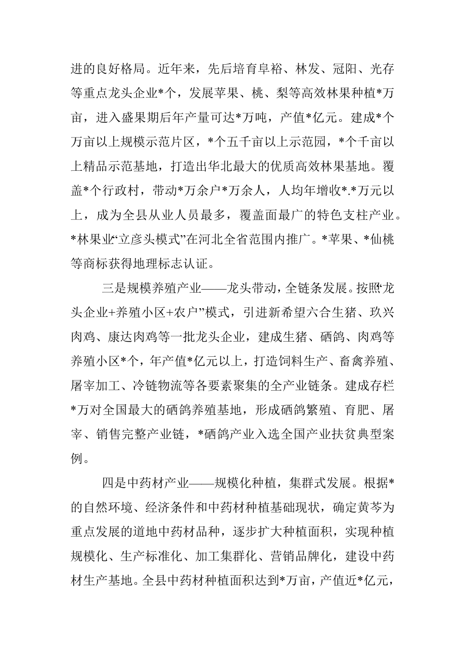 关于构建产业体系调研报告.docx_第3页