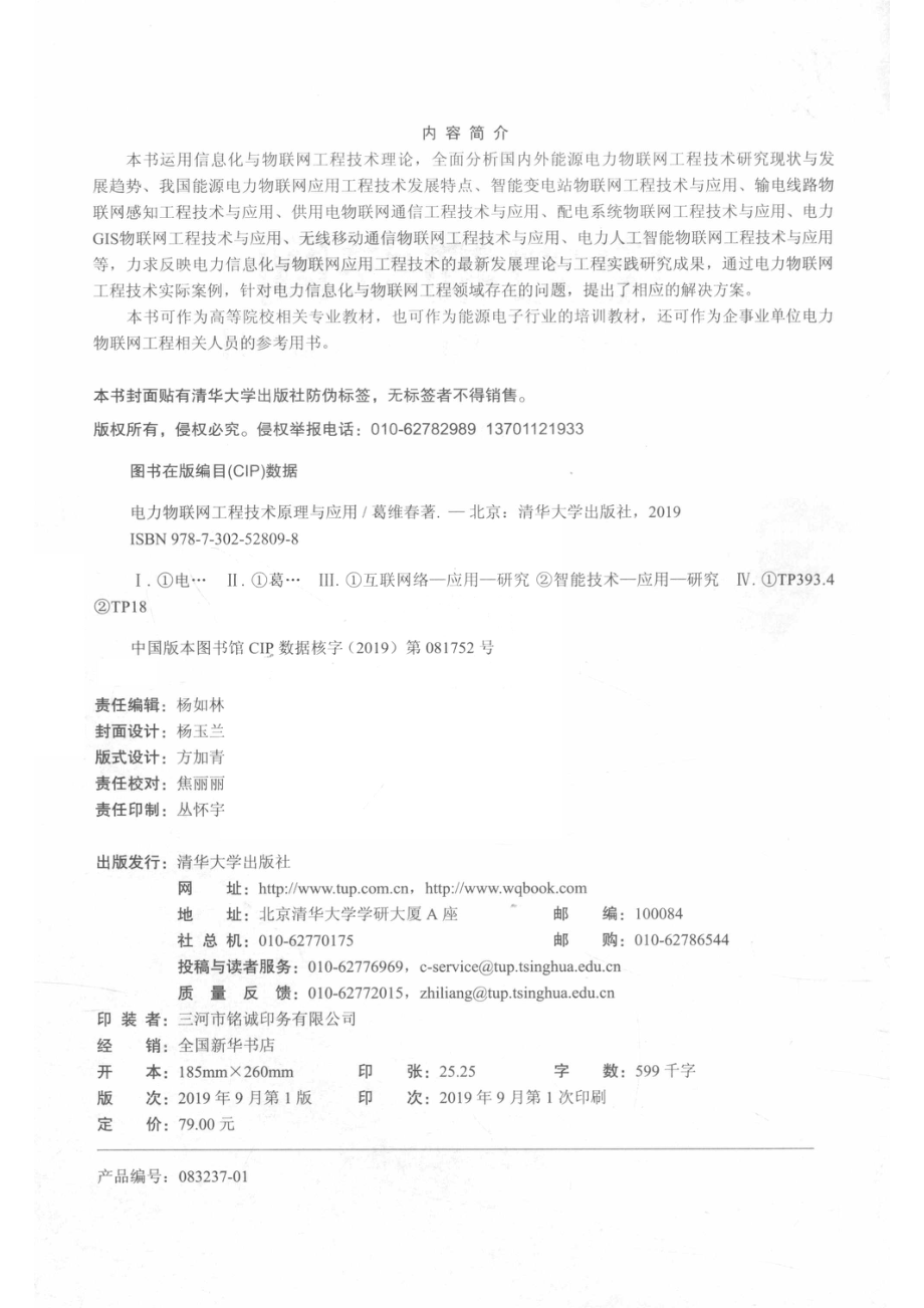 电力物联网工程技术原理与应用_杨如林责任编辑；（中国）葛维春.pdf_第2页