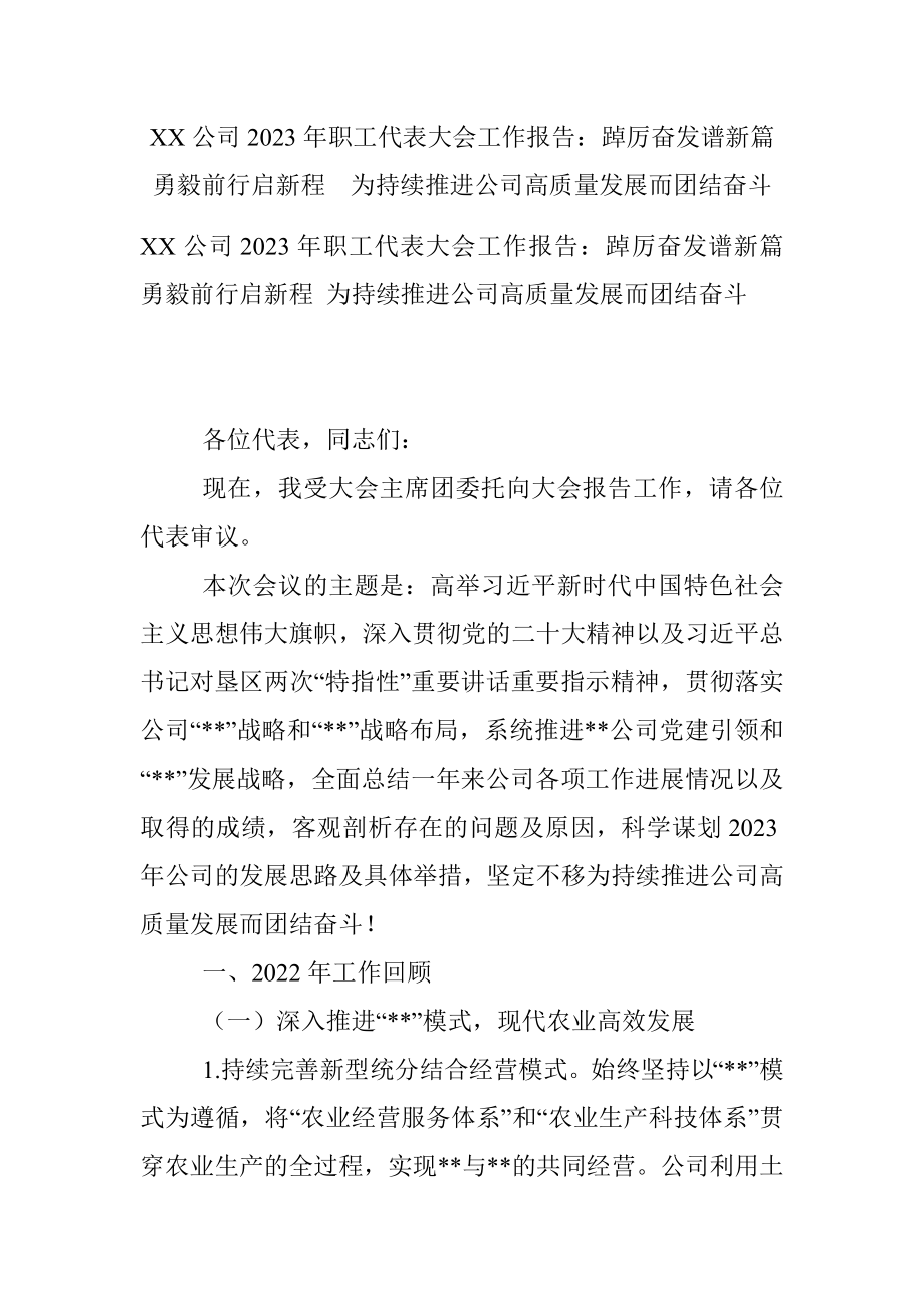 XX公司2023年职工代表大会工作报告：踔厉奋发谱新篇 勇毅前行启新程为持续推进公司高质量发展而团结奋斗.docx_第1页