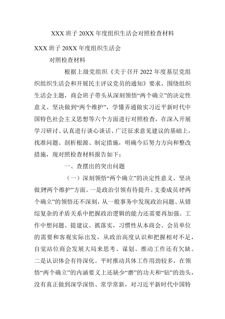 XXX班子20XX年度组织生活会对照检查材料.docx_第1页