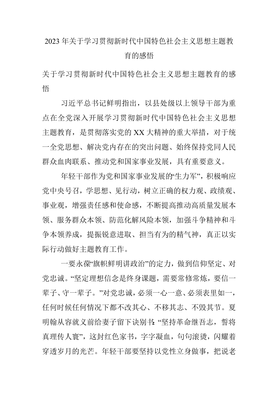 2023年关于学习贯彻新时代中国特色社会主义思想主题教育的感悟.docx_第1页