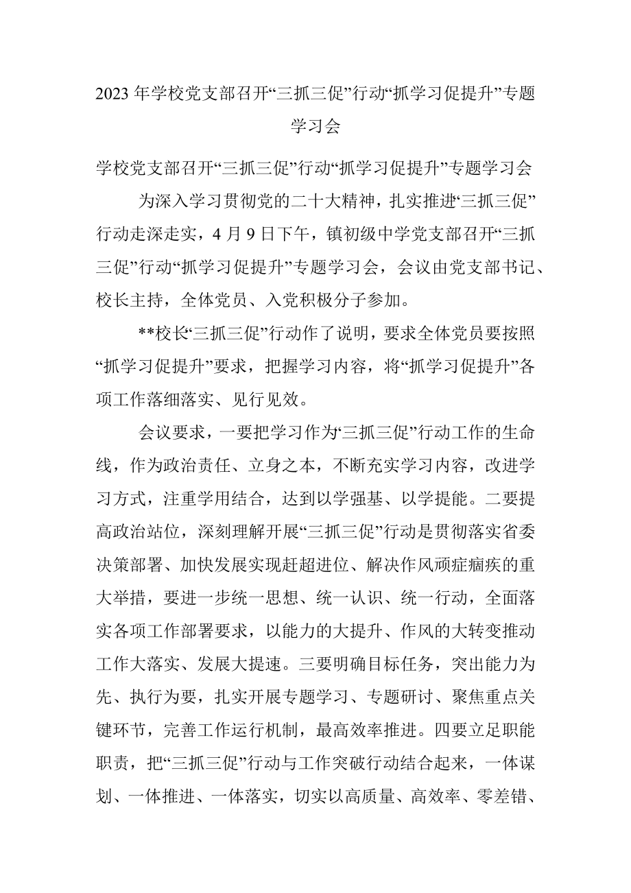 2023年学校党支部召开“三抓三促”行动“抓学习促提升”专题学习会.docx_第1页