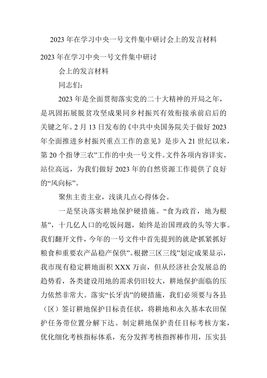 2023年在学习中央一号文件集中研讨会上的发言材料.docx_第1页