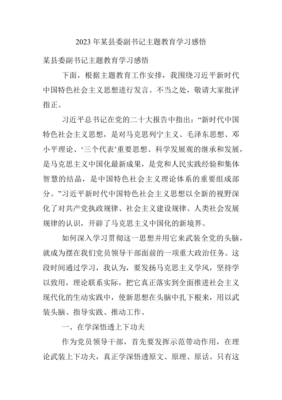 2023年某县委副书记主题教育学习感悟.docx_第1页