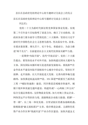 县长在县政府党组理论中心组专题研讨交流会上的发言.docx