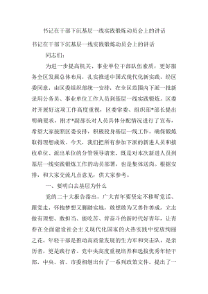 书记在干部下沉基层一线实践锻炼动员会上的讲话.docx