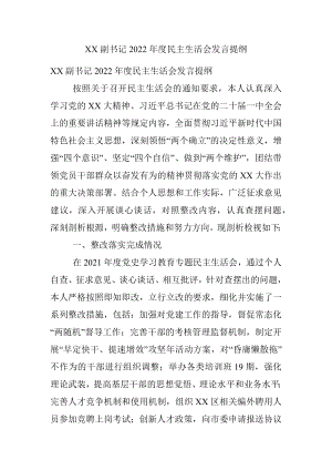 XX副书记2022年度民主生活会发言提纲.docx