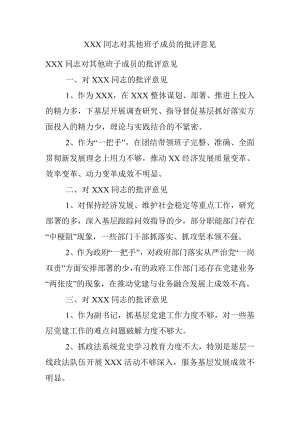 XXX同志对其他班子成员的批评意见.docx