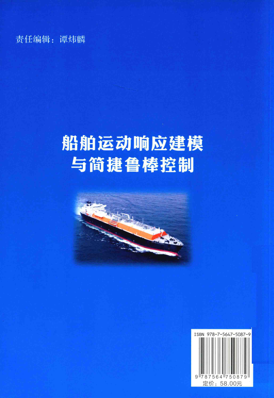 船舶运动响应建模与简捷鲁棒控制_王立军著.pdf_第2页