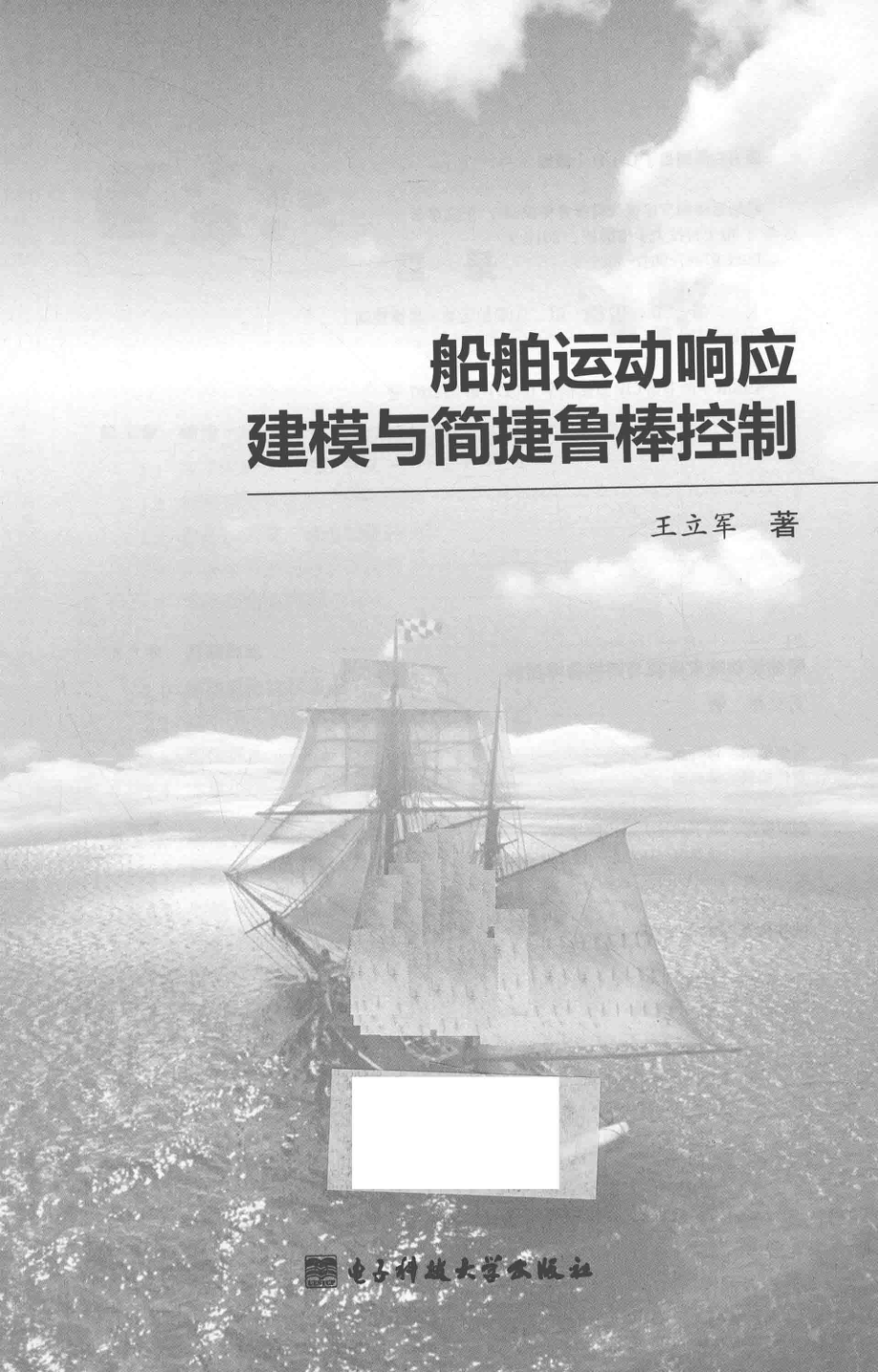 船舶运动响应建模与简捷鲁棒控制_王立军著.pdf_第3页