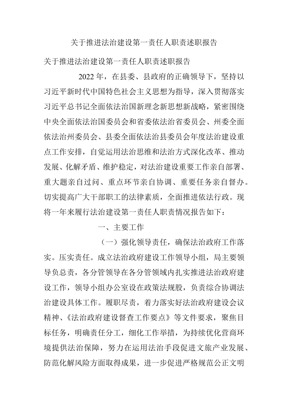 关于推进法治建设第一责任人职责述职报告_1.docx_第1页