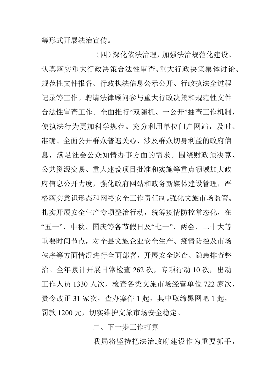 关于推进法治建设第一责任人职责述职报告_1.docx_第3页