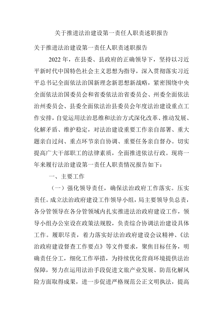 关于推进法治建设第一责任人职责述职报告.docx_第1页