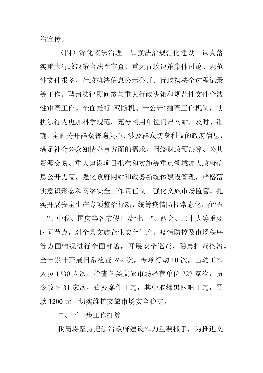 关于推进法治建设第一责任人职责述职报告.docx_第3页