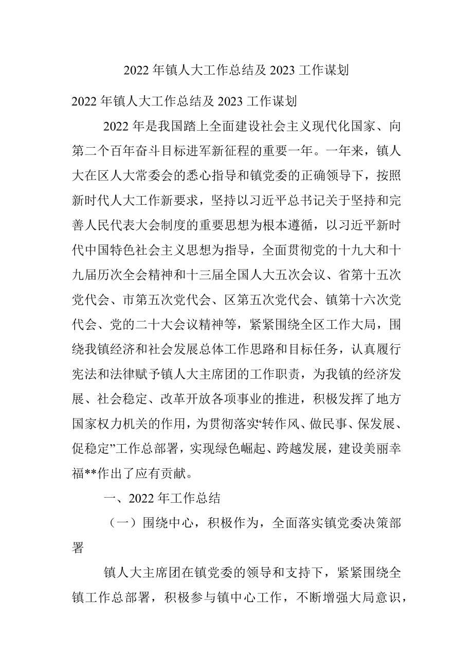 2022年镇人大工作总结及2023工作谋划.docx_第1页