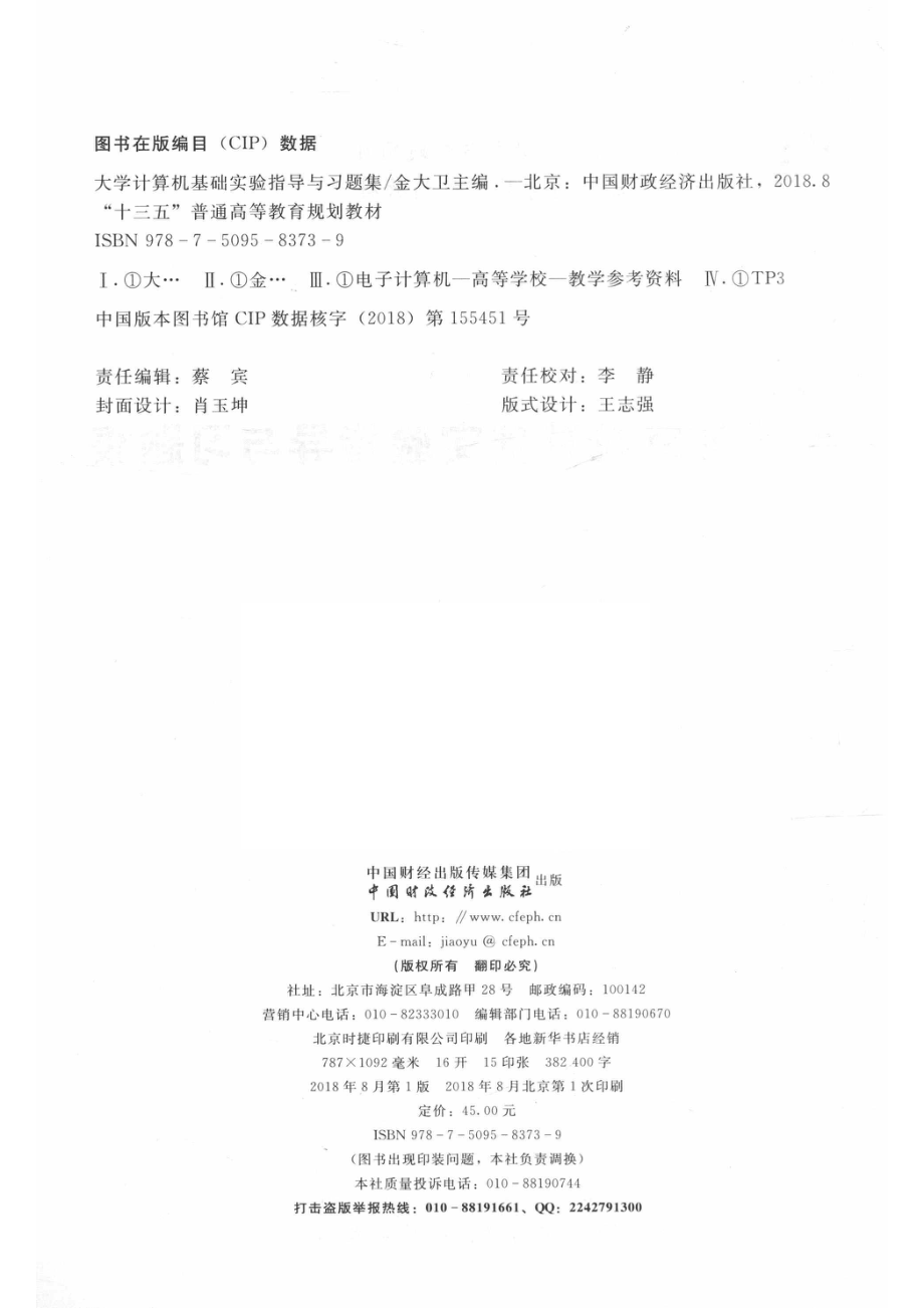 大学计算机基础实验指导与习题集_金大卫主编.pdf_第3页