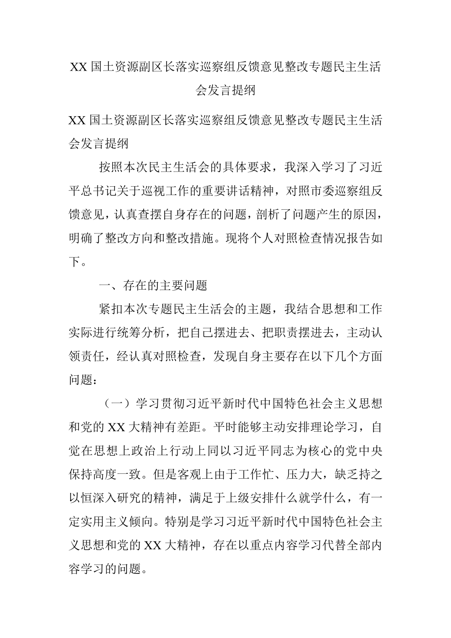 XX国土资源副区长落实巡察组反馈意见整改专题民主生活会发言提纲.docx_第1页