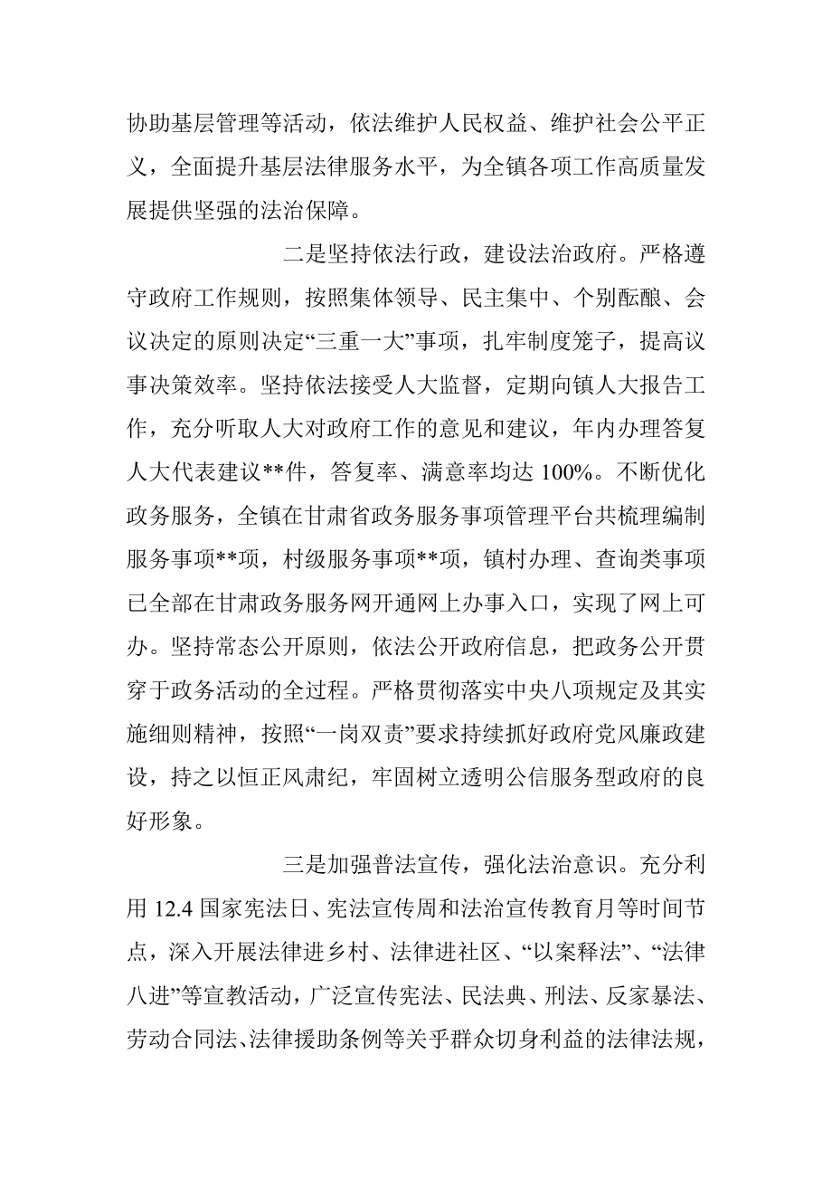 2023XX乡镇党委书记述法工作报告.docx_第2页