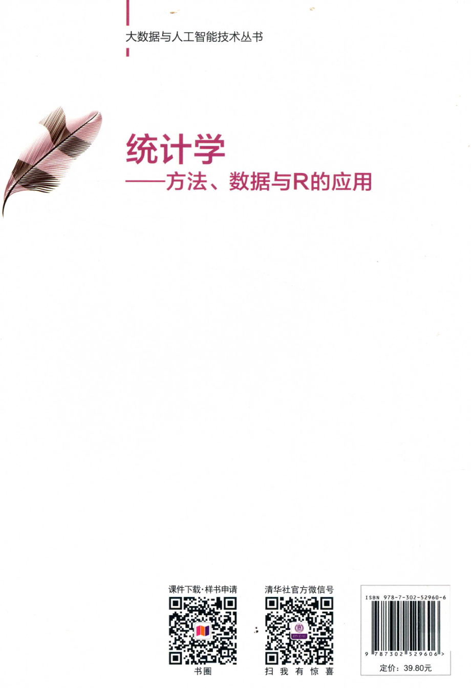 大数据与人工智能技术丛书统计学方法、数据与R的应用.pdf_第2页