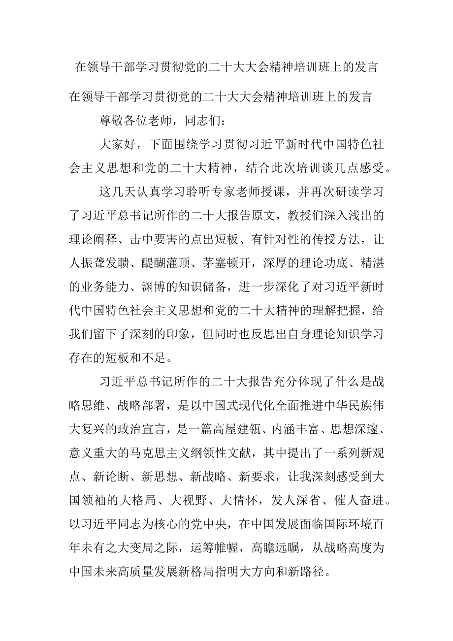 在领导干部学习贯彻党的二十大大会精神培训班上的发言.docx_第1页