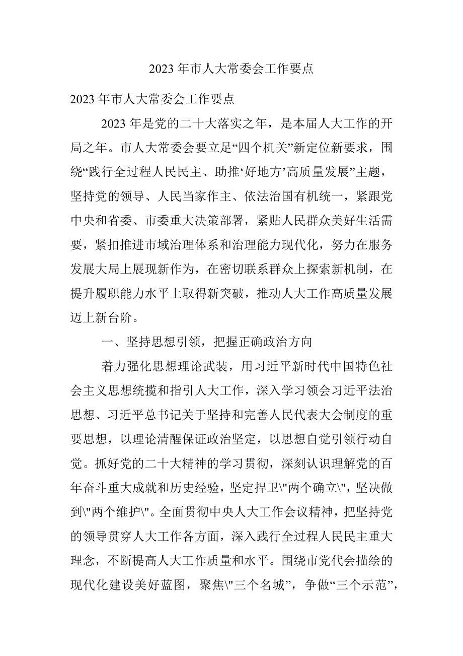 2023年市人大常委会工作要点_1.docx_第1页