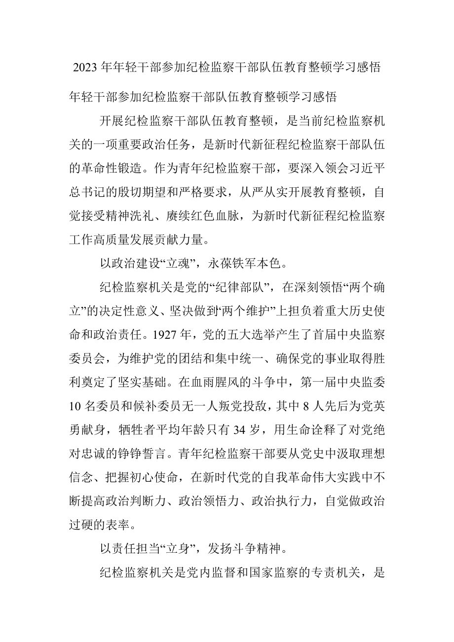 2023年年轻干部参加纪检监察干部队伍教育整顿学习感悟.docx_第1页